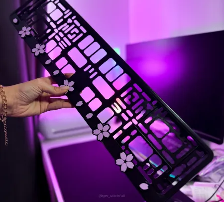 RAMKI/LICENSE PLATE FRAME