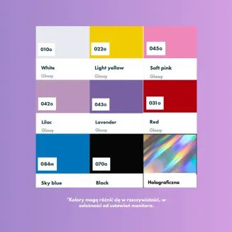 RAMKA TABLICY REJESTRACYJNEJ INSTAGRAM/TIKTOK - 2